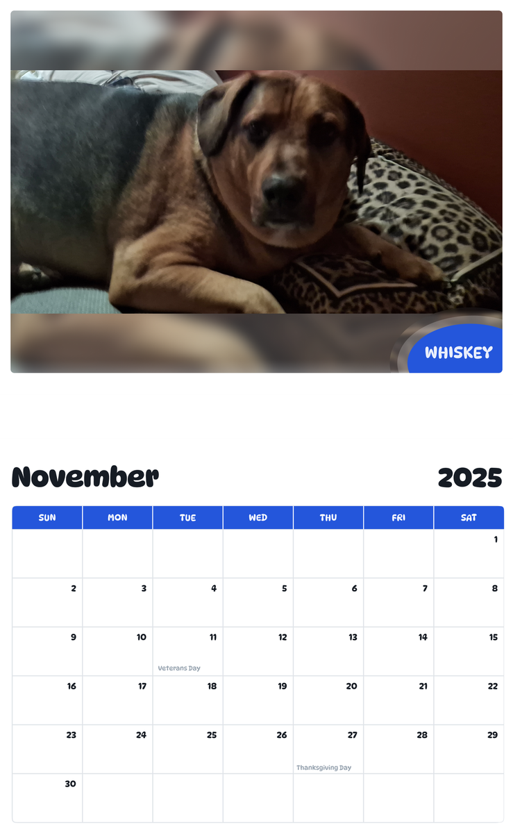 July 2025 - June 2026 Whiskey - Pawidols Pet Calendar