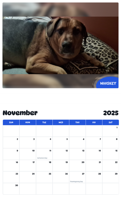 July 2025 - June 2026 Whiskey - Pawidols Pet Calendar