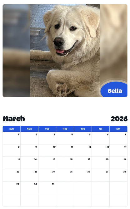 November 2025 - October 2026 Bella - Pawidols Pet Calendar