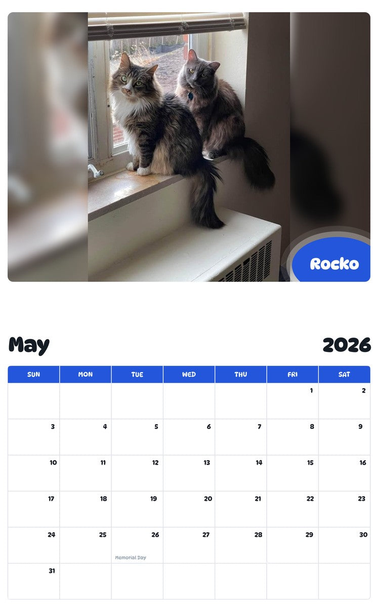 2026 - 2027 Rocko - Pawidols Pet Calendar