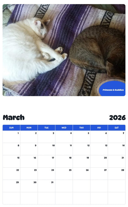 November 2025 - October 2026 Princess & Cuddles - Pawidols Pet Calendar