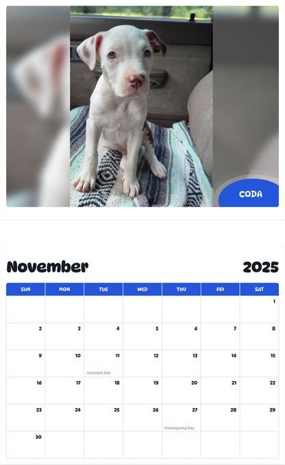 July 2025 - June 2026 Coda - Pawidols Pet Calendar