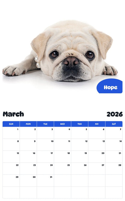 November 2025 - October 2026 Hope - Pawidols Pet Calendar