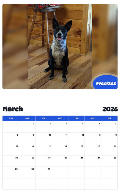 November 2025 - October 2026 Freckles - Pawidols Pet Calendar