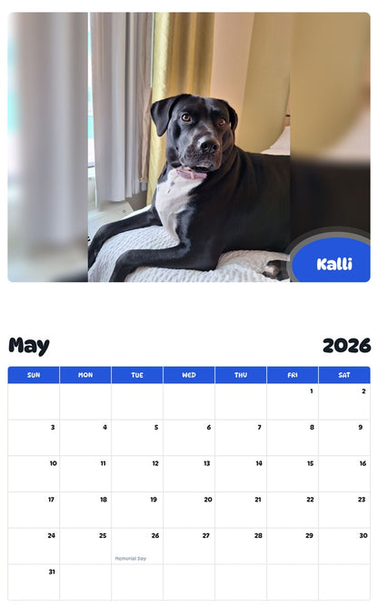 2026 - 2027 Kalli - Pawidols Pet Calendar