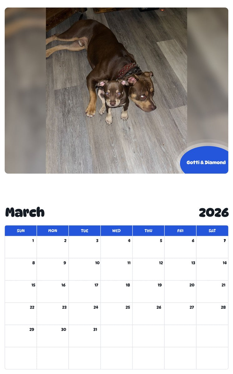 November 2025 - October 2026 Gotti & Diamond - Pawidols Pet Calendar