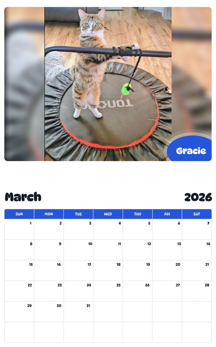 November 2025 - October 2026 Gracie - Pawidols Pet Calendar