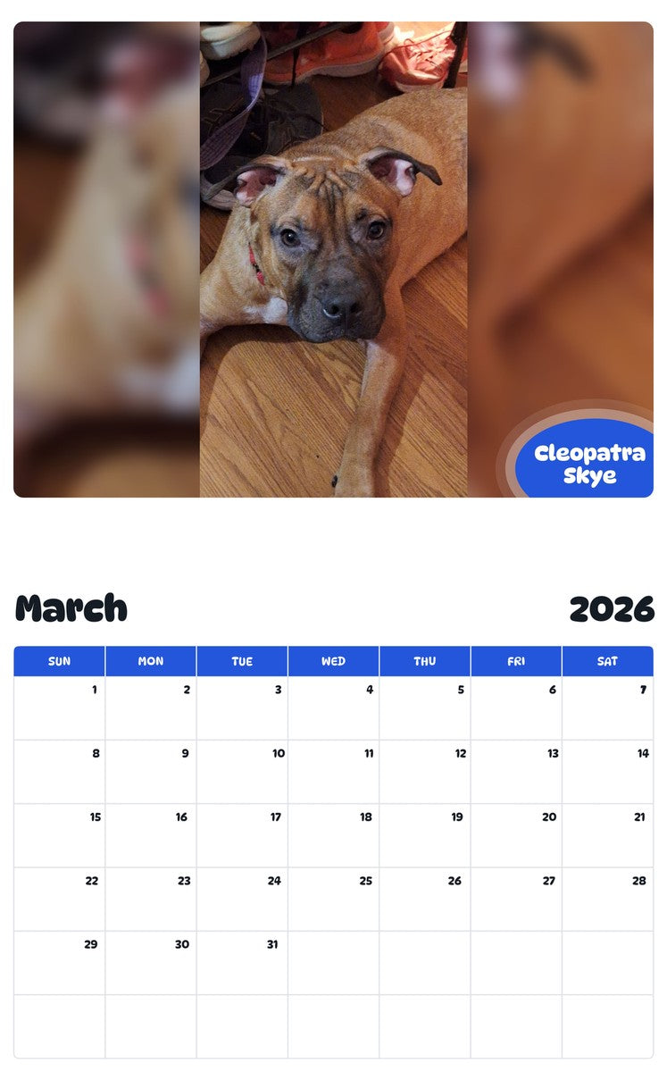 November 2025 - October 2026 Cleopatra Skye - Pawidols Pet Calendar