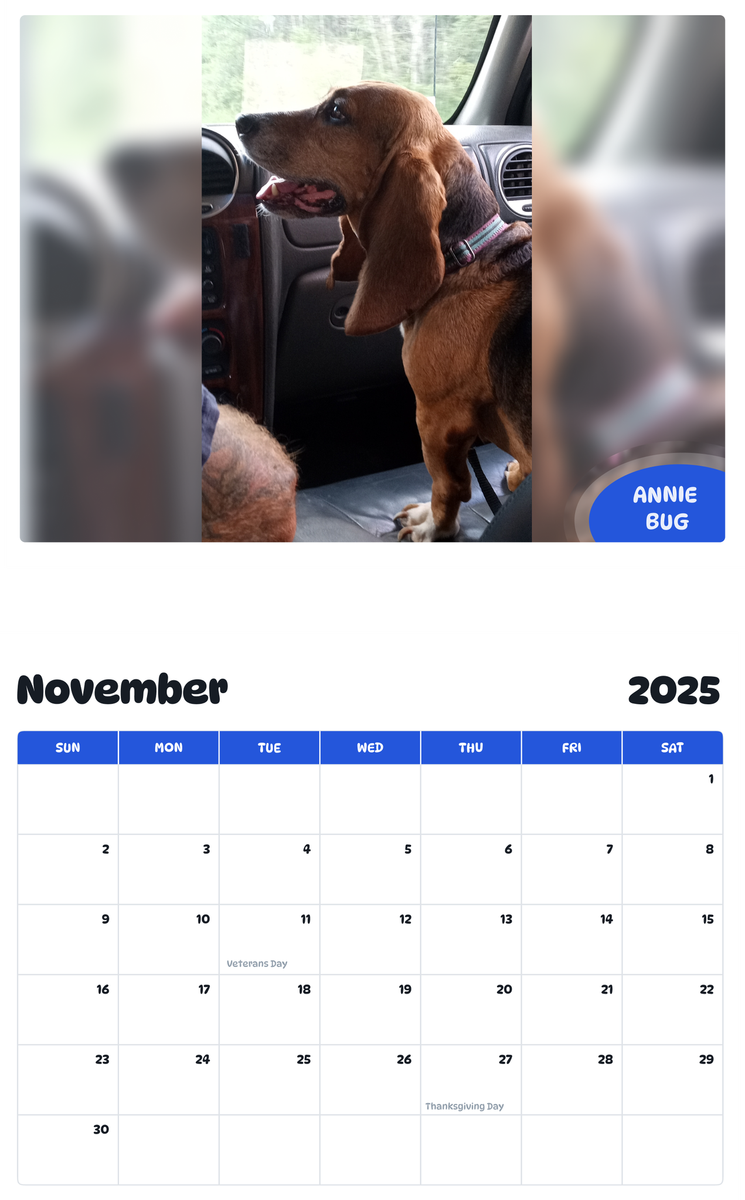 July 2025 - June 2026 Annie Bug - Pawidols Pet Calendar