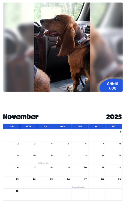 July 2025 - June 2026 Annie Bug - Pawidols Pet Calendar