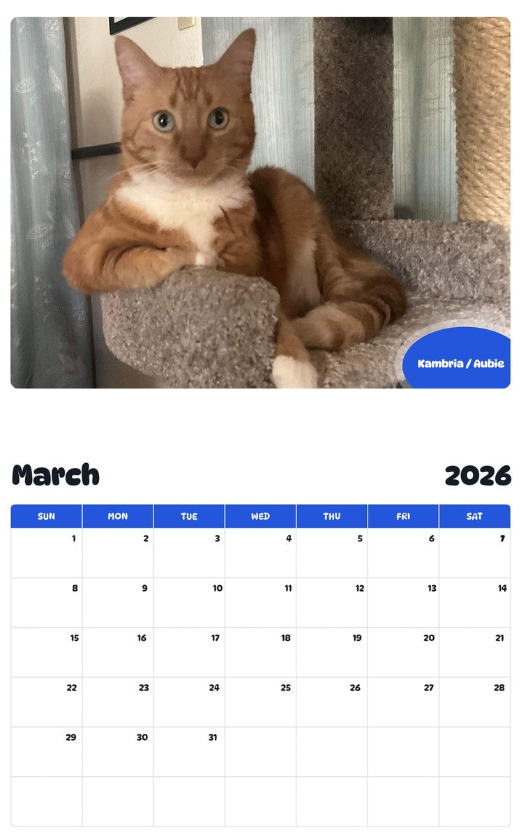 November 2025 - October 2026 Kambria / Aubie - Pawidols Pet Calendar