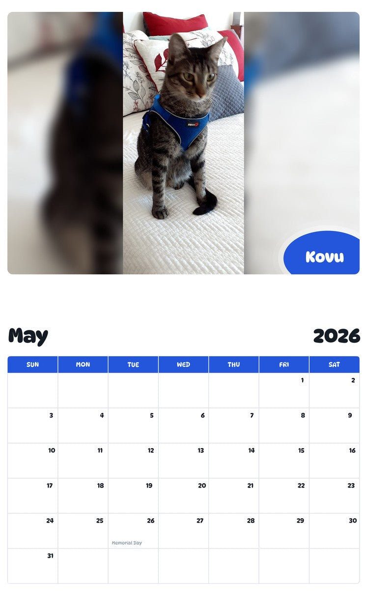 2026 - 2027 Kovu - Pawidols Pet Calendar
