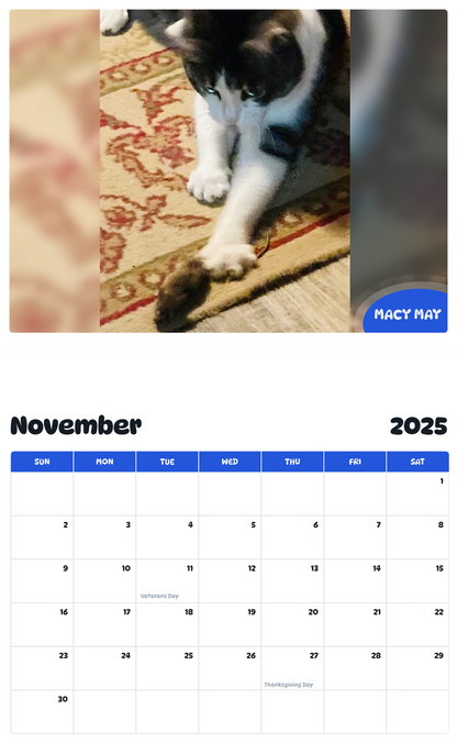 July 2025 - June 2026 Macy May - Pawidols Pet Calendar