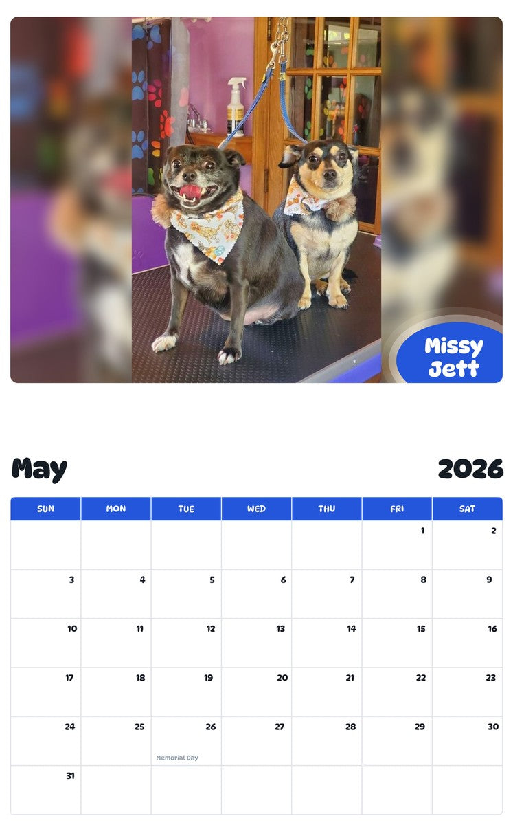 2026 - 2027 Missy Jett - Pawidols Pet Calendar