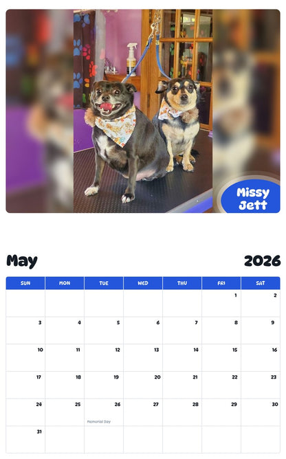 2026 - 2027 Missy Jett - Pawidols Pet Calendar
