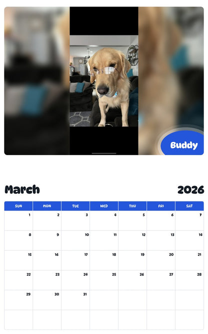 November 2025 - October 2026 Buddy - Pawidols Pet Calendar