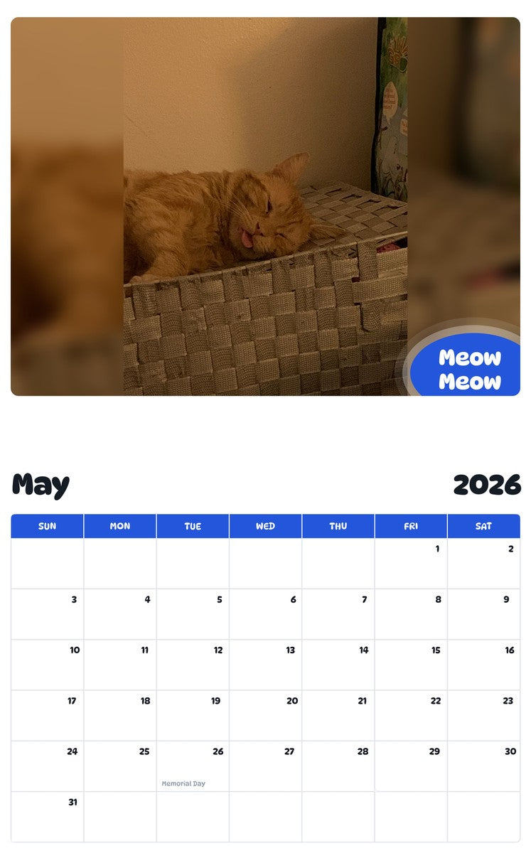 2026 - 2027 Meow Meow - Pawidols Pet Calendar
