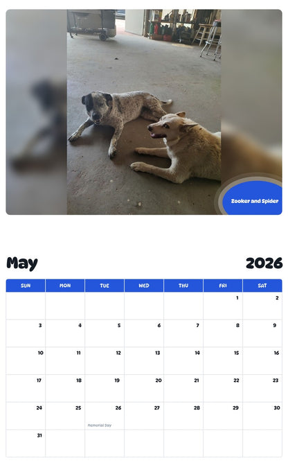 2026 - 2027 Zooker and Spider - Pawidols Pet Calendar