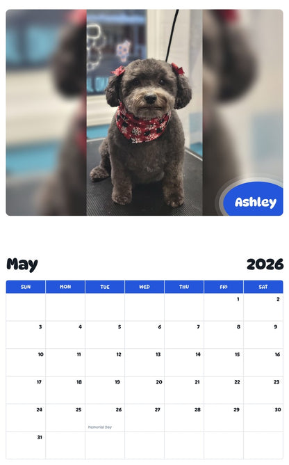 2026 - 2027 Ashley - Pawidols Pet Calendar