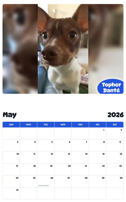 2026 - 2027 Topher Danté - Pawidols Pet Calendar