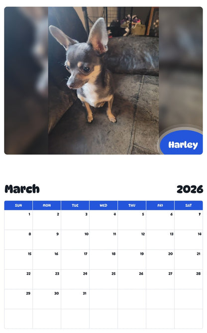 November 2025 - October 2026 Harley - Pawidols Pet Calendar