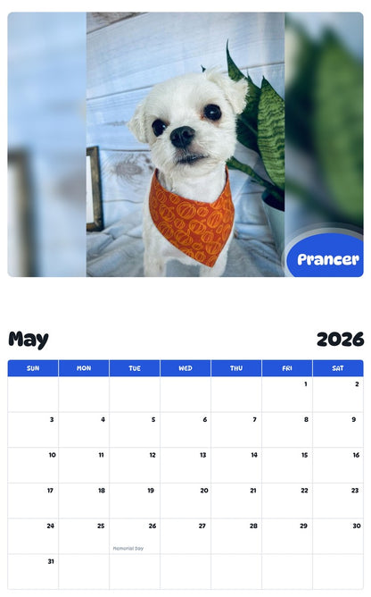 2026 - 2027 Prancer - Pawidols Pet Calendar