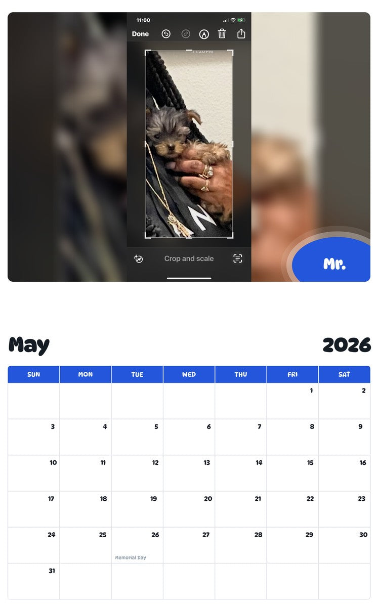 2026 - 2027 Mr. - Pawidols Pet Calendar