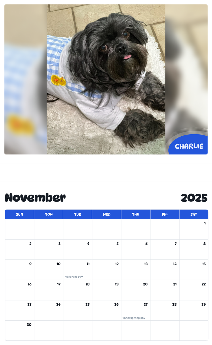 July 2025 - June 2026 Charlie - Pawidols Pet Calendar