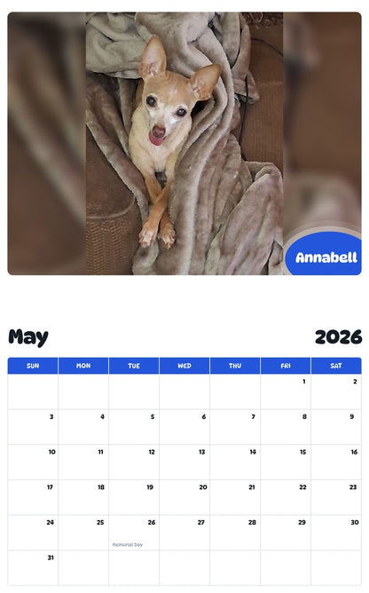 2026 - 2027 Annabell - Pawidols Pet Calendar