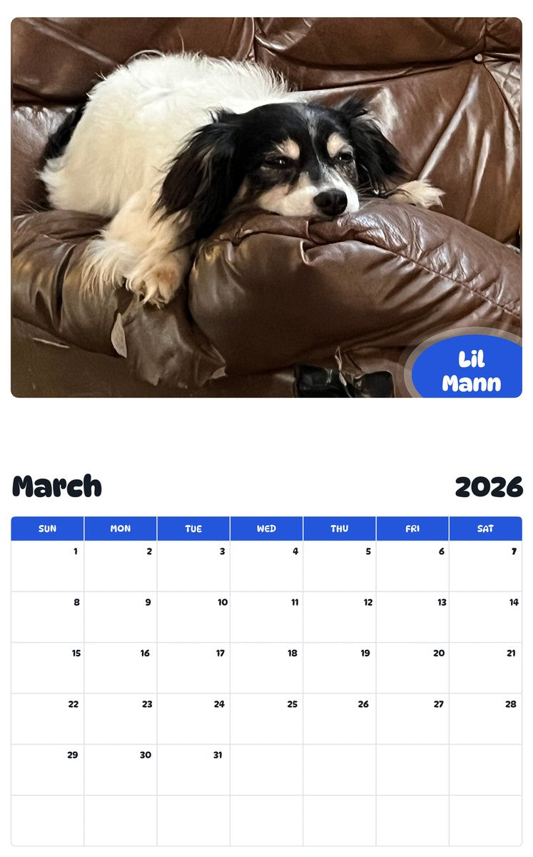 November 2025 - October 2026 Lil Mann - Pawidols Pet Calendar