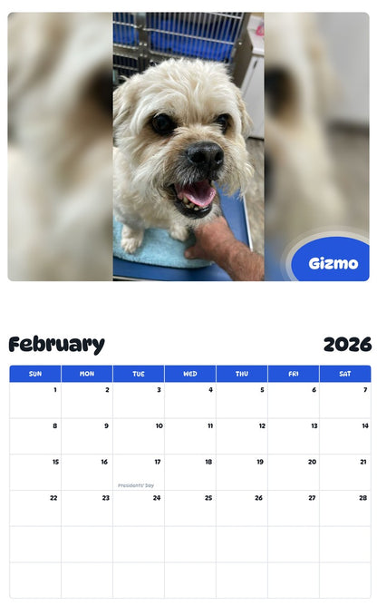 October 2025 - September 2026 Gizmo - Pawidols Pet Calendar