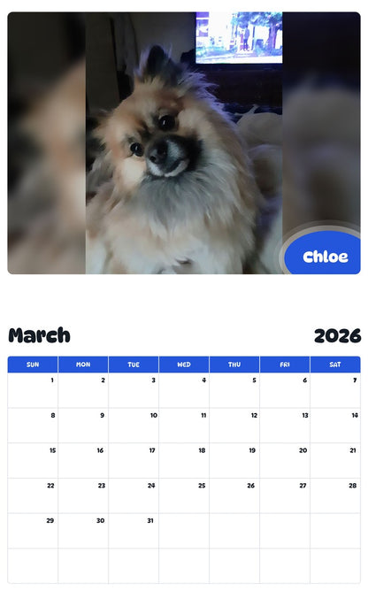 November 2025 - October 2026 Chloe - Pawidols Pet Calendar