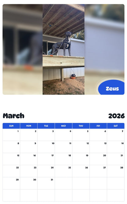 November 2025 - October 2026 Zeus - Pawidols Pet Calendar