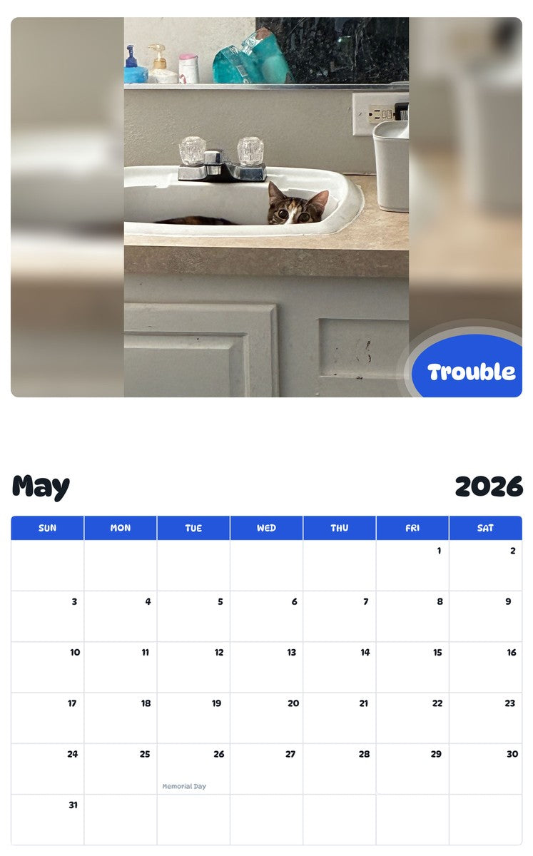 2026 - 2027 Trouble - Pawidols Pet Calendar
