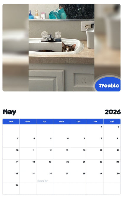 2026 - 2027 Trouble - Pawidols Pet Calendar