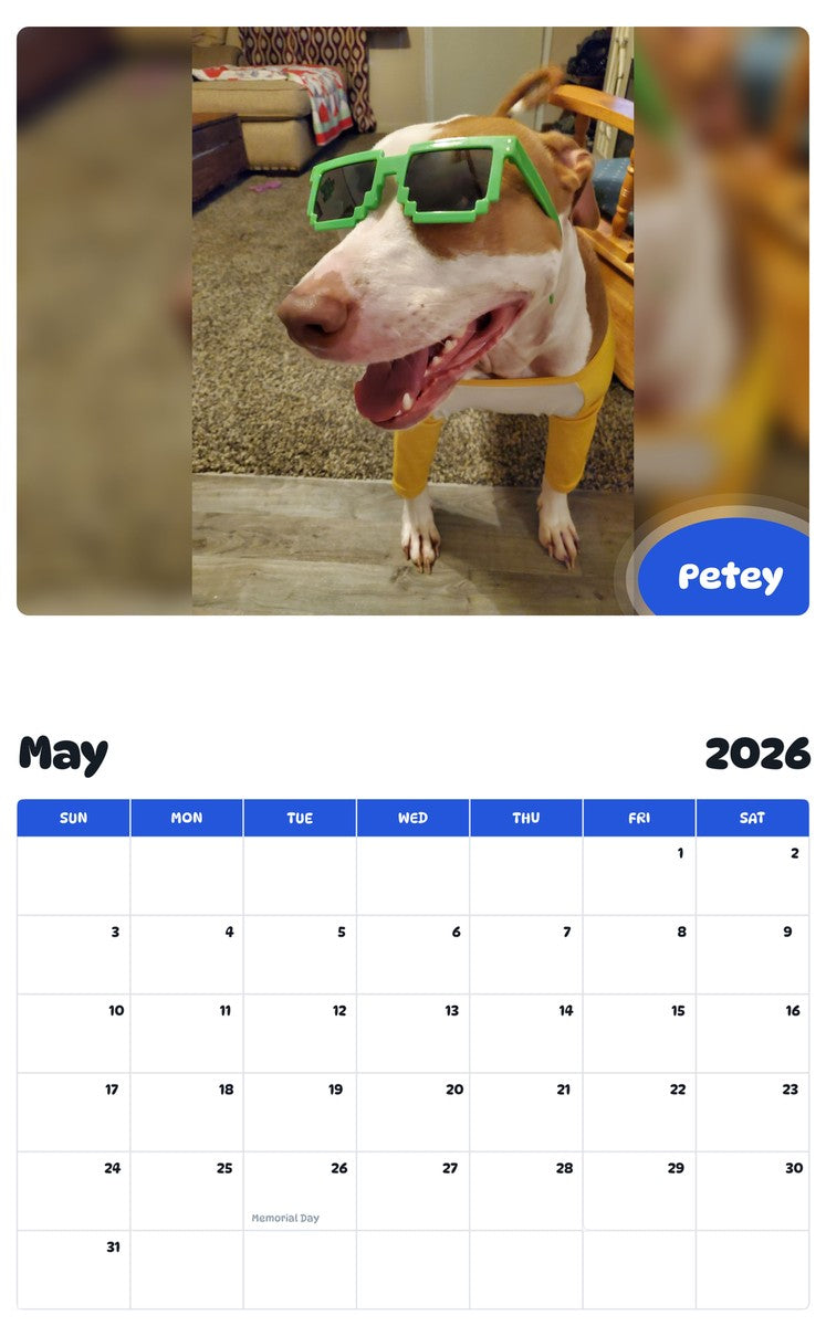 2026 - 2027 Petey - Pawidols Pet Calendar