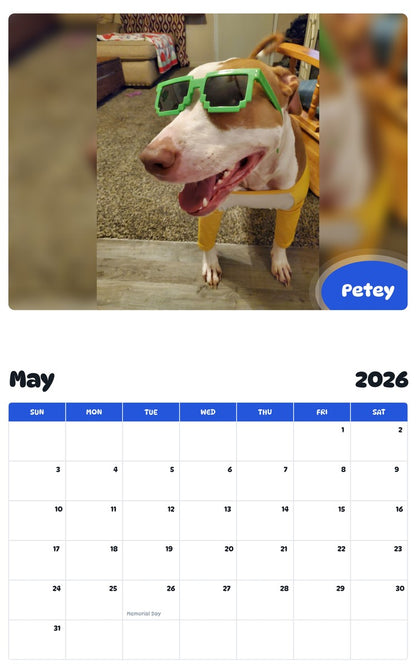 2026 - 2027 Petey - Pawidols Pet Calendar
