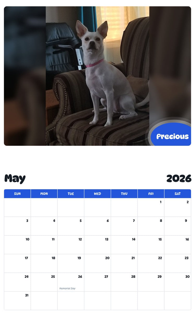 2026 - 2027 Precious - Pawidols Pet Calendar