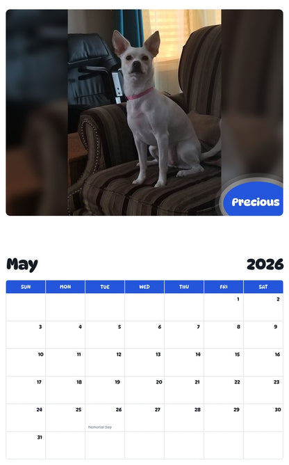 2026 - 2027 Precious - Pawidols Pet Calendar