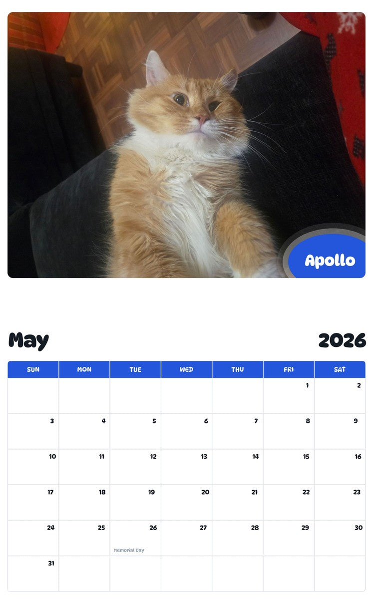 2026 - 2027 Apollo - Pawidols Pet Calendar