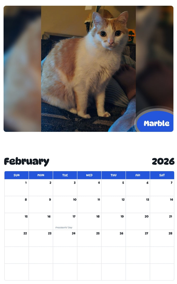 October 2025 - September 2026 Marble - Pawidols Pet Calendar