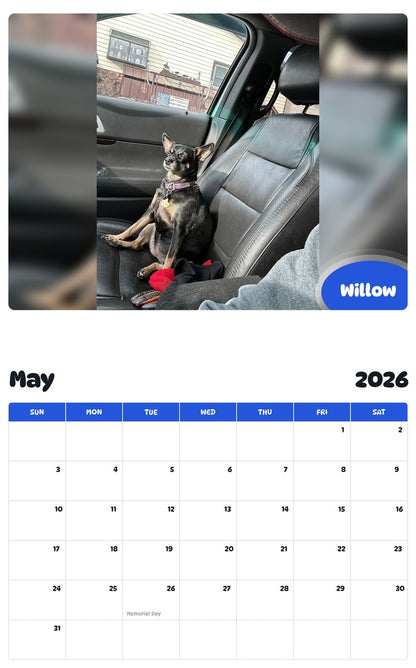 2026 - 2027 Willow - Pawidols Pet Calendar