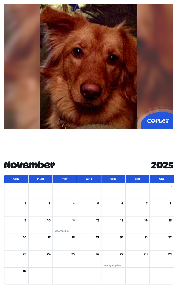 July 2025 - June 2026 Copley - Pawidols Pet Calendar