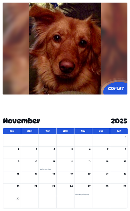July 2025 - June 2026 Copley - Pawidols Pet Calendar