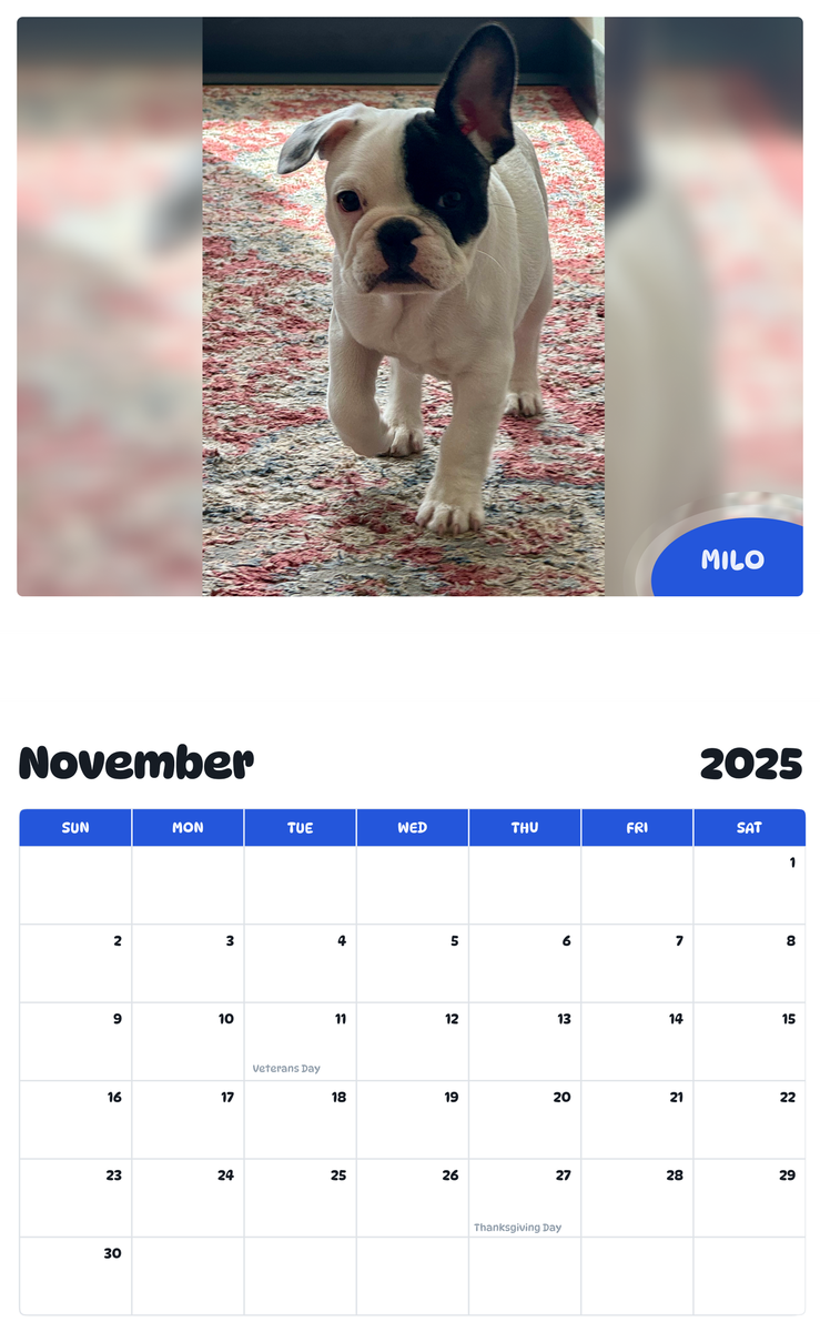 July 2025 - June 2026 Milo - Pawidols Pet Calendar