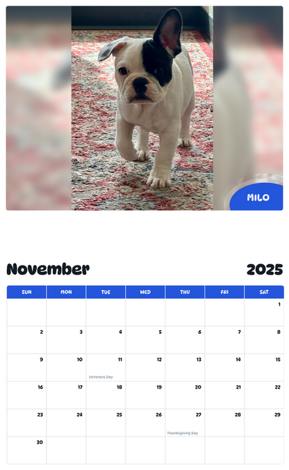 July 2025 - June 2026 Milo - Pawidols Pet Calendar