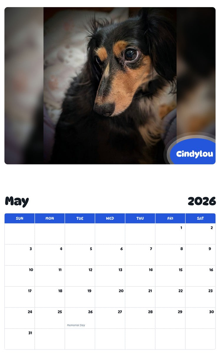 2026 - 2027 Cindylou - Pawidols Pet Calendar
