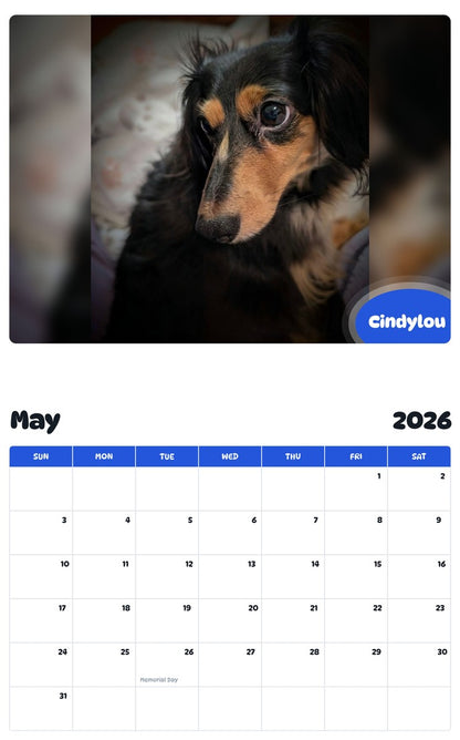 2026 - 2027 Cindylou - Pawidols Pet Calendar