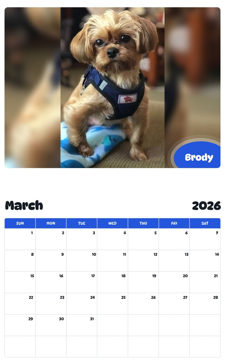 November 2025 - October 2026 Brody - Pawidols Pet Calendar