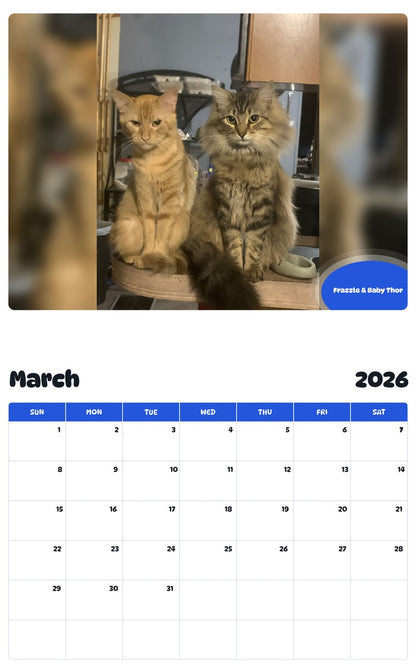 November 2025 - October 2026 Frazzle & Baby Thor - Pawidols Pet Calendar
